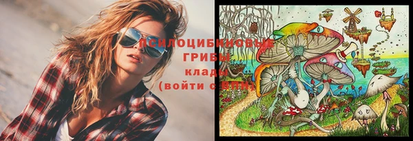амф Няндома