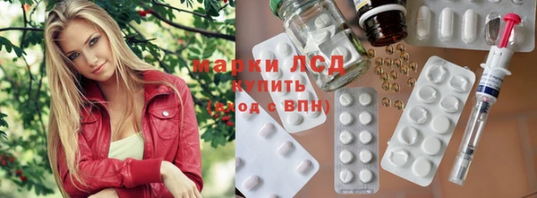 МДПВ Новозыбков