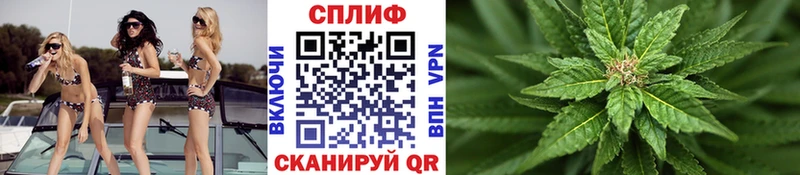 Бошки Шишки MAZAR Купить Саратов